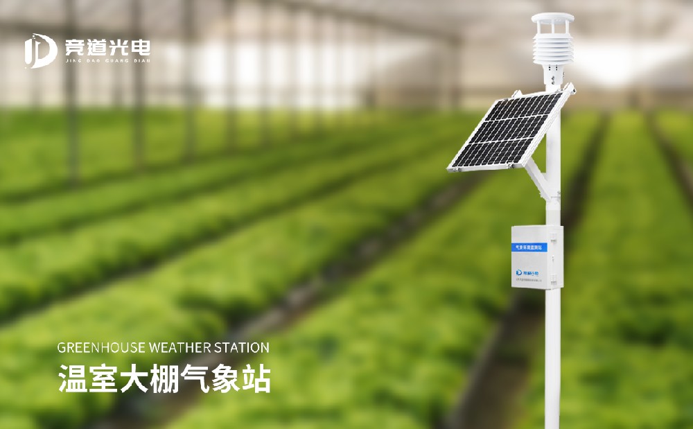 自動(dòng)小型氣象站幫助羊肚菌生產(chǎn)